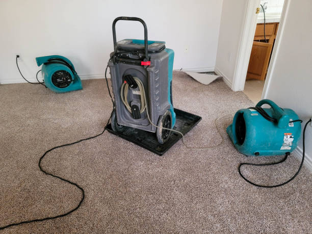 Best 24/7 water damage repair  in Rosemount, MN