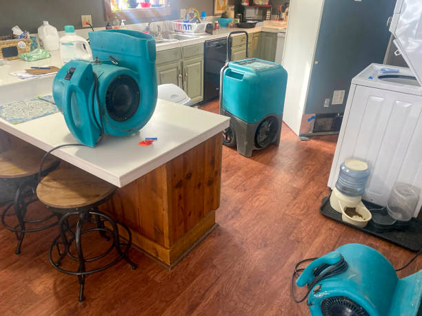 Professional Water damage restoration in Rosemount, MN