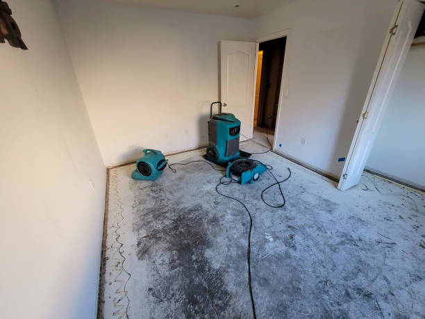 Water damage restoration insurance claims in Rosemount, MN