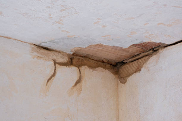 Best Fire Damage Restoration  in Rosemount, MN