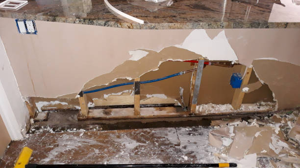 Best Water damage restoration specialists  in Rosemount, MN
