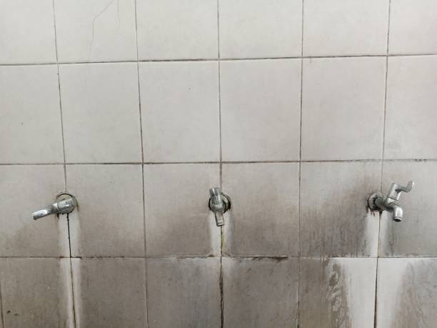 Best Ceiling water damage repair  in Rosemount, MN