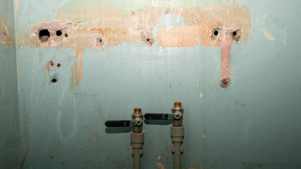 Best 24-hour water damage restoration  in Rosemount, MN