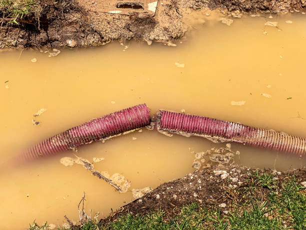 Best 24-hour water damage restoration  in Rosemount, MN