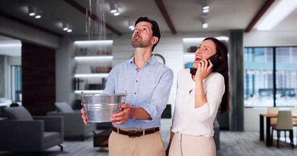 Best Local water damage restoration  in Rosemount, MN