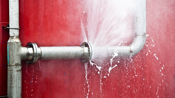 Best Professional water damage repair  in Rosemount, MN