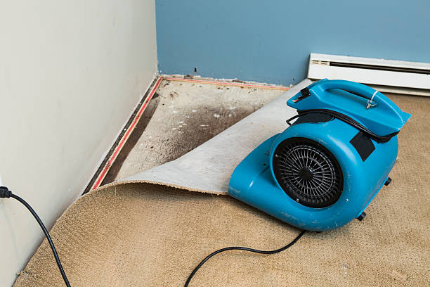 Best Carpet water damage restoration  in Rosemount, MN